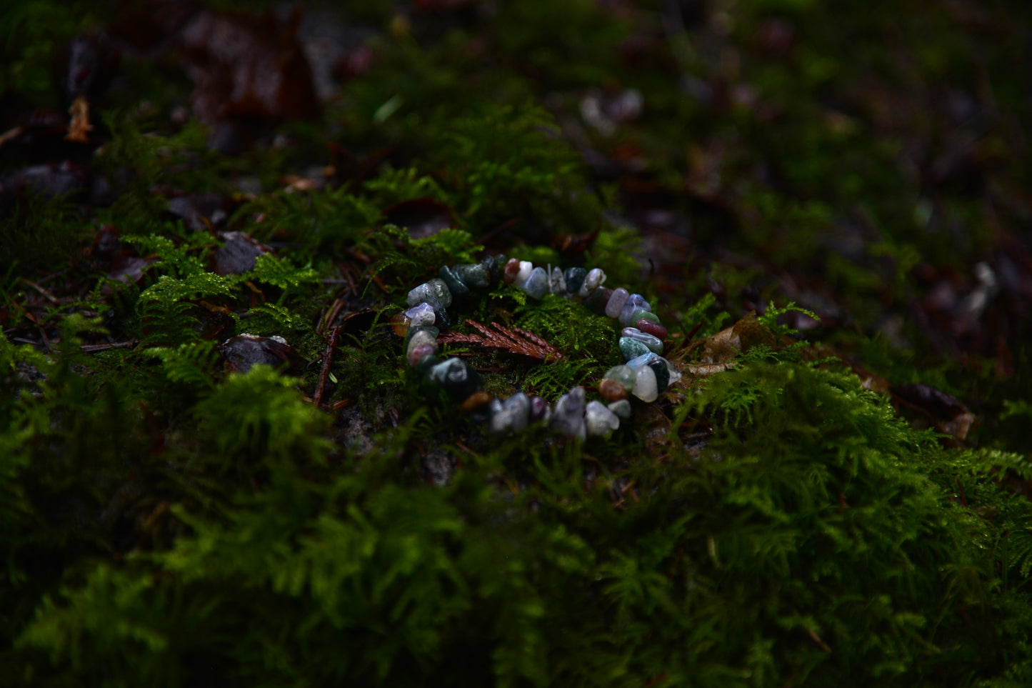 Roots of Growth – Moss Agate Blessing Bracelet