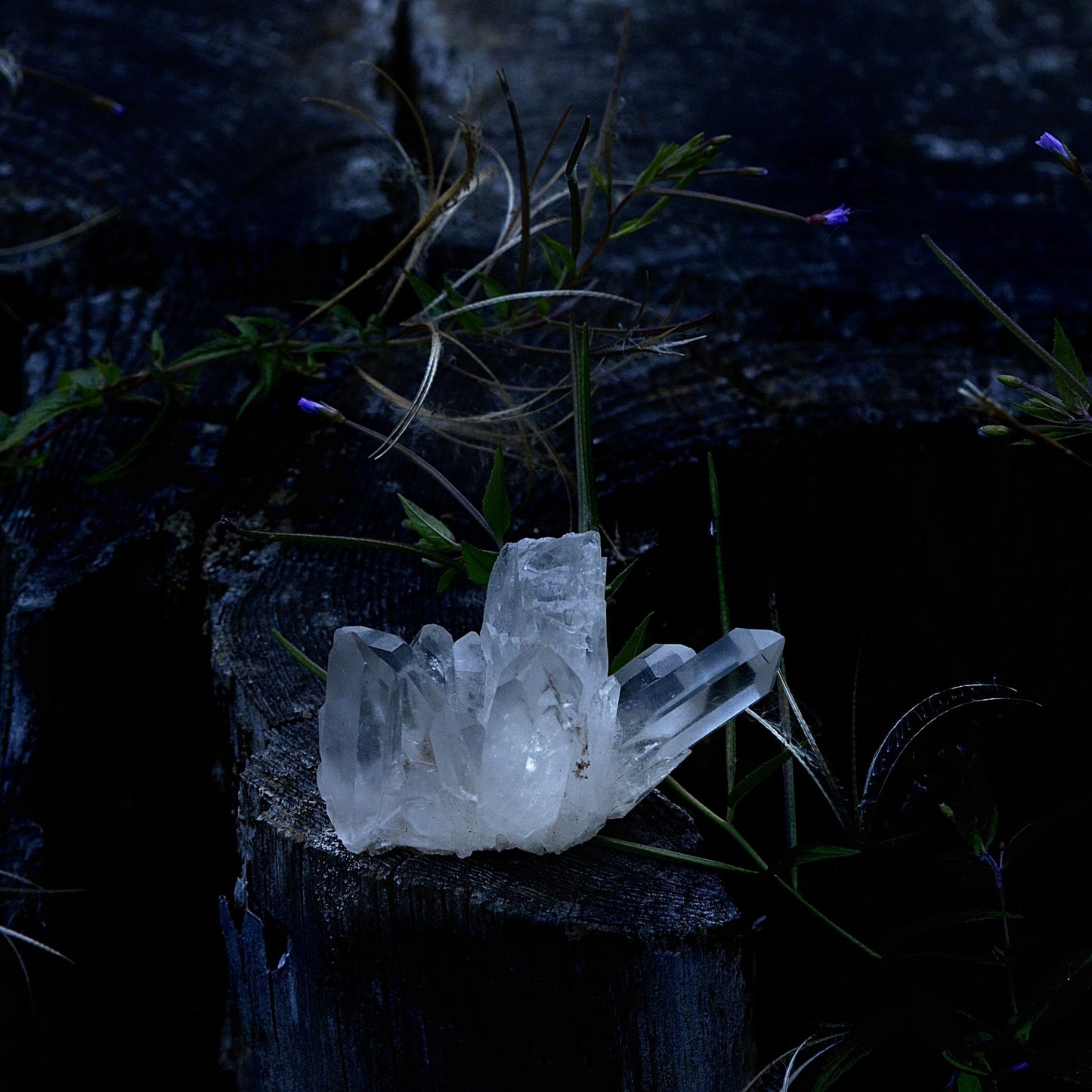 Blessed Natural White Quartz Point and Ice Cluster