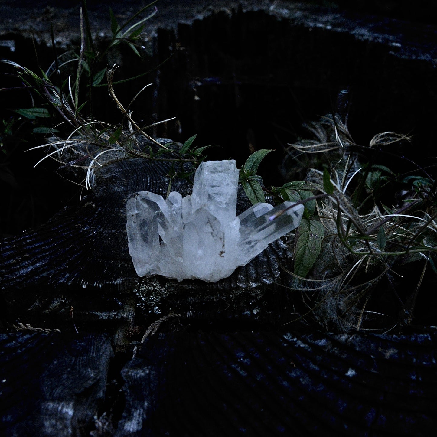 Blessed Natural White Quartz Point and Ice Cluster